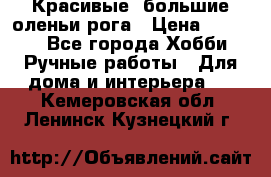 Красивые  большие оленьи рога › Цена ­ 3 000 - Все города Хобби. Ручные работы » Для дома и интерьера   . Кемеровская обл.,Ленинск-Кузнецкий г.